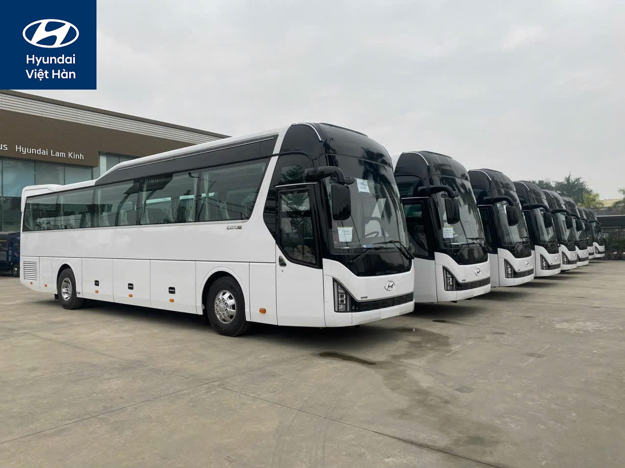 Bán xe khách Hyundai tại Thanh Hóa 