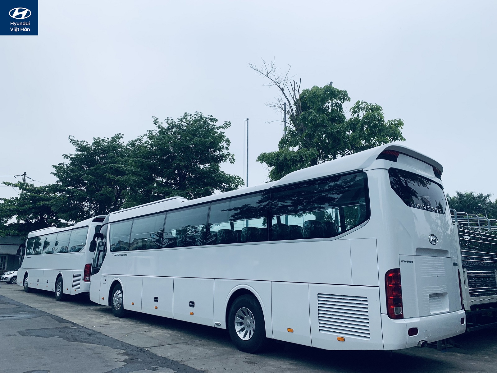Đuôi xe Hyundai Universe 47 chỗ 