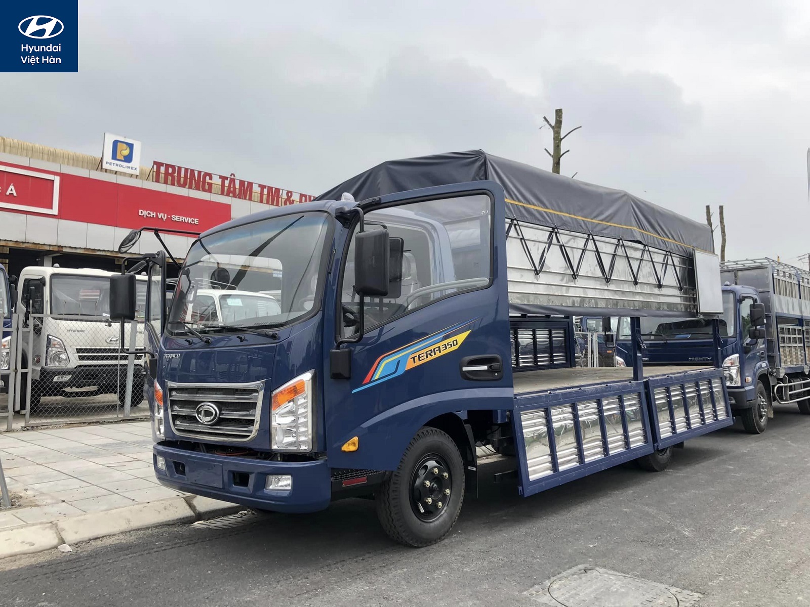Giá xe Teraco 350 cạnh tranh và phù hợp với điều kiện kinh tế hiện nay